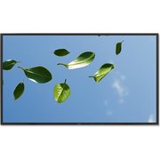 NEC MultiSync V552 фото